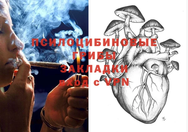 дурь Алзамай
