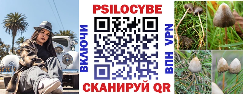 купить наркотики цена  Протвино  Псилоцибиновые грибы Cubensis 